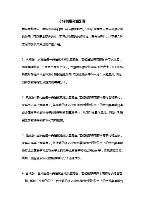 各种酶的原理