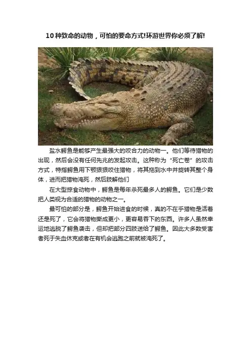 10种致命的动物，可怕的要命方式!环游世界你必须了解!