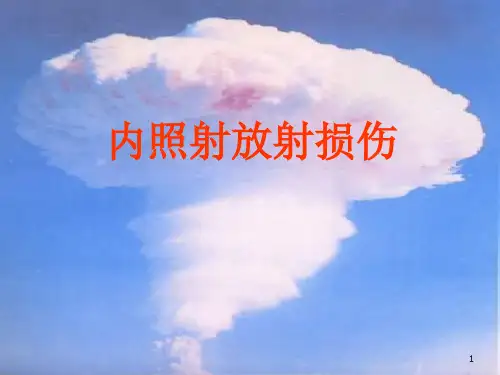 内照射放射损伤