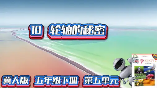 冀人版科学五年级下册 18 轮轴的秘密 课件(共26张PPT)