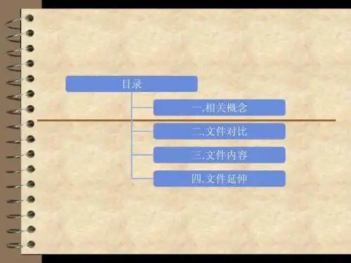新财税