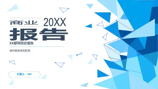 项目总报告PPT模板