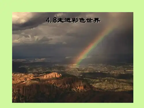4.8走进彩色世界课件PPT教科版八年级物理上册_2