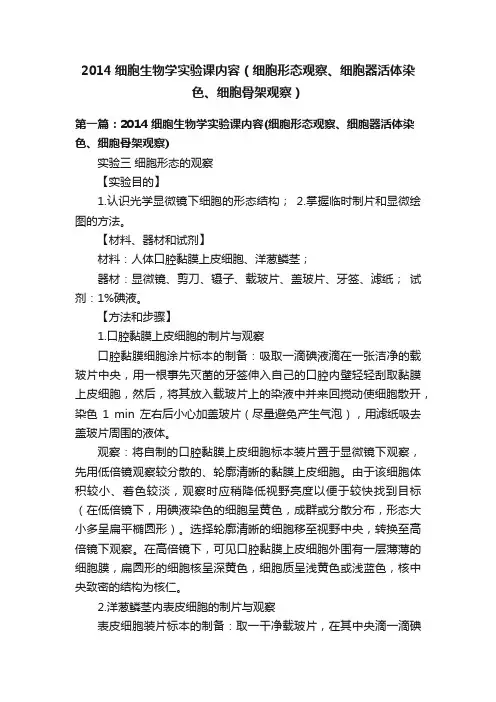 2014细胞生物学实验课内容（细胞形态观察、细胞器活体染色、细胞骨架观察）