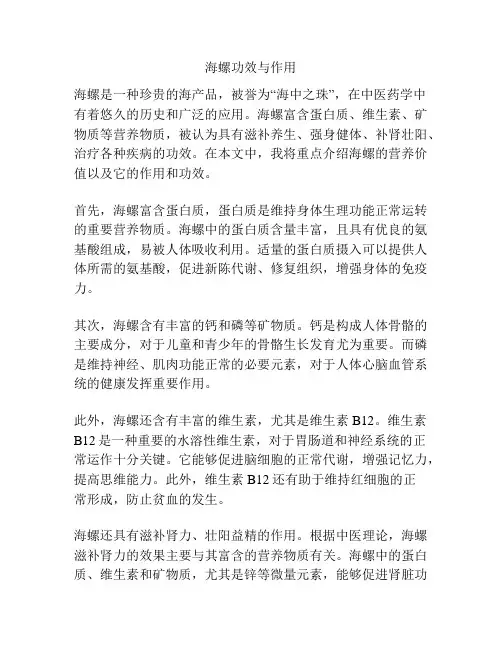 海螺功效与作用