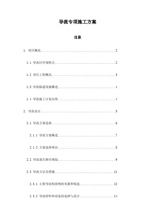 导流专项施工方案