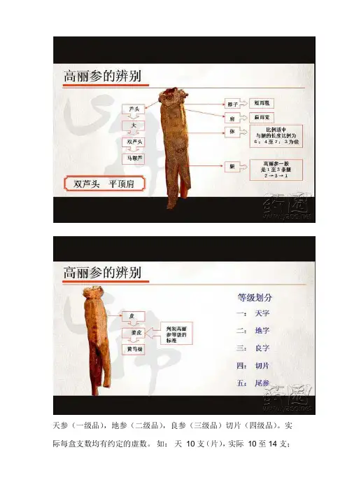 高丽参