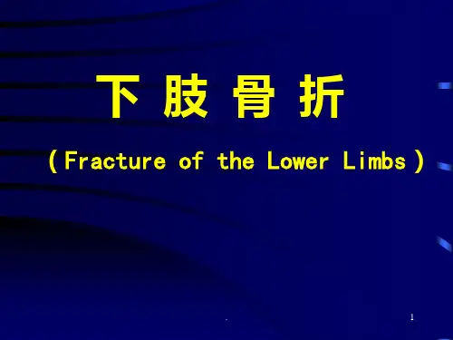 下肢骨折教学幻灯PPT课件