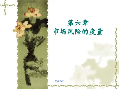 第六章市场风险的度量ppt课件