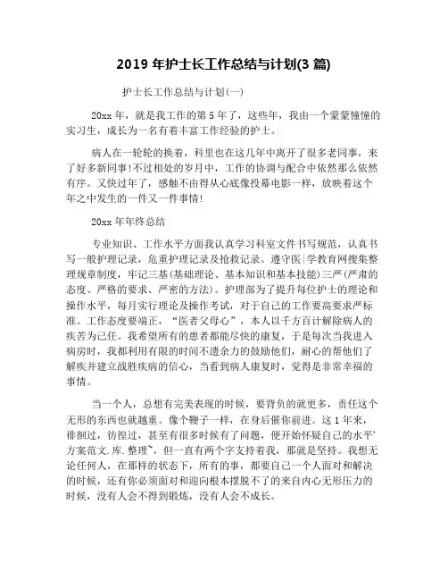 2019年护士长工作总结与计划(3篇)