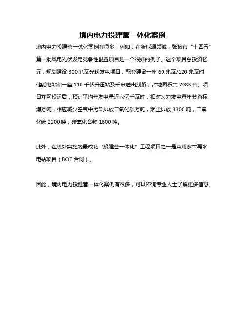 境内电力投建营一体化案例