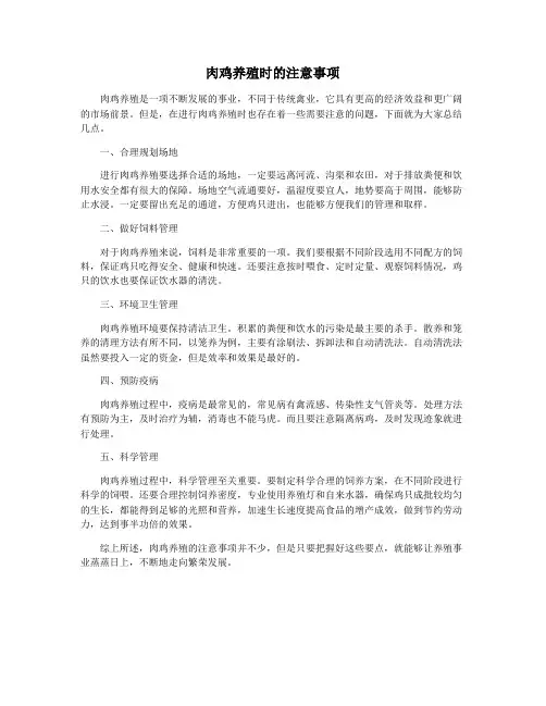 肉鸡养殖时的注意事项
