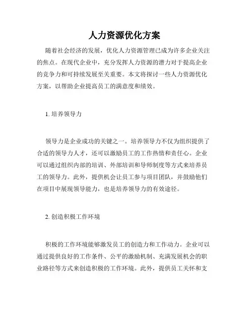 人力资源优化方案