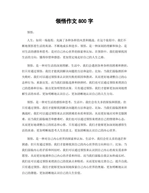 领悟作文800字