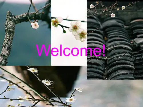 细胞分化凋亡与肿瘤
