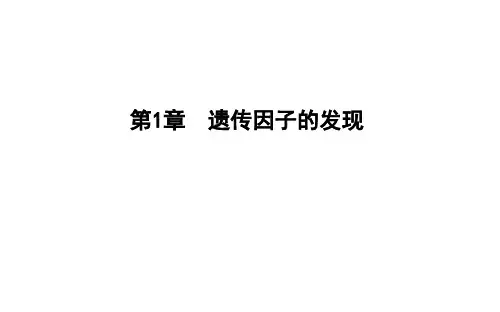 人教版(2019)高中生物必修2第1课时一对相对性状的杂交实验课件