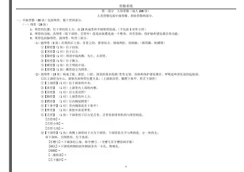 正常人体骨骼0405