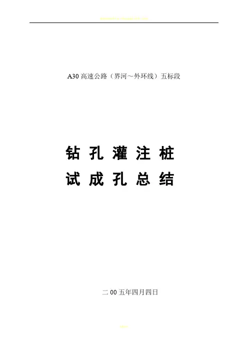 钻孔灌注桩试成孔总结报告(A30)