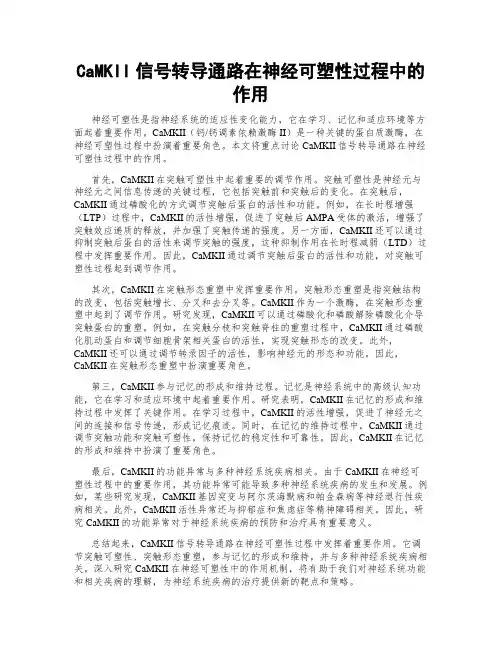 CaMKII信号转导通路在神经可塑性过程中的作用
