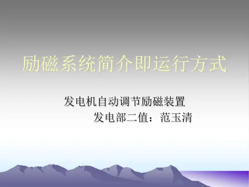励磁系统简介即运行方式