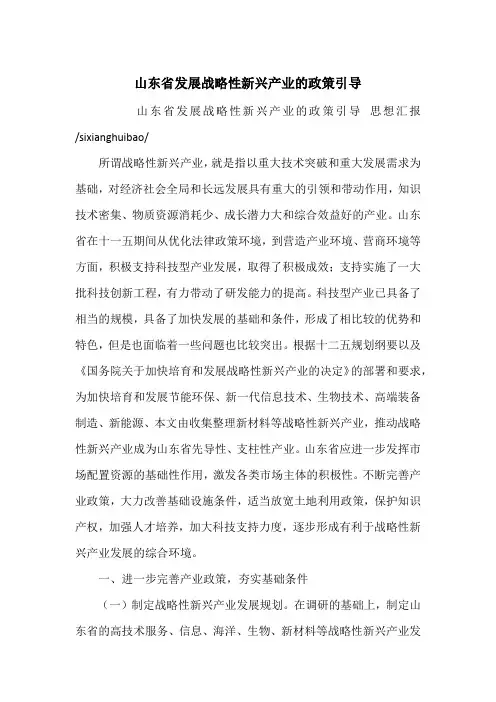 山东省发展战略性新兴产业的政策引导