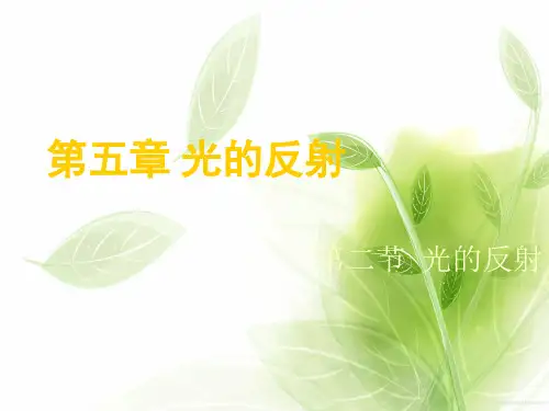 新课标人教版光的反射PPT教学课件
