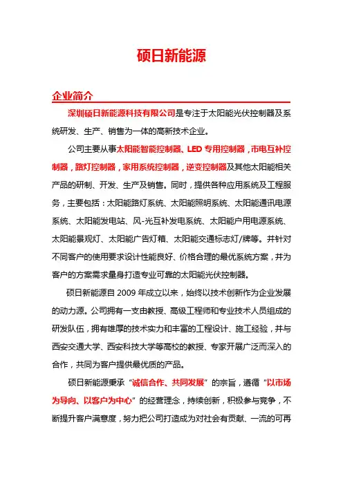 深圳硕日新能源科技有限公司
