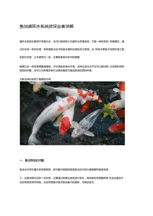 鱼池循环水系统资深业者详解