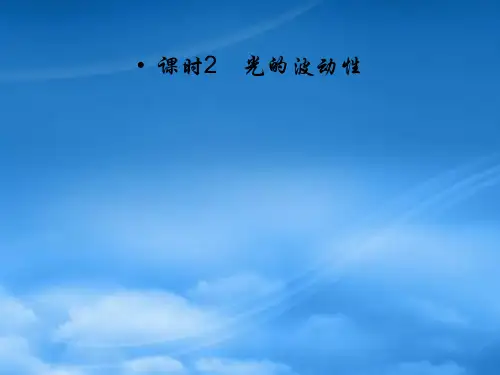 高考物理 光的波动性课件