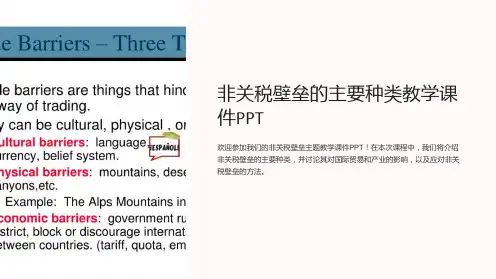 非关税壁垒的主要种类教学课件