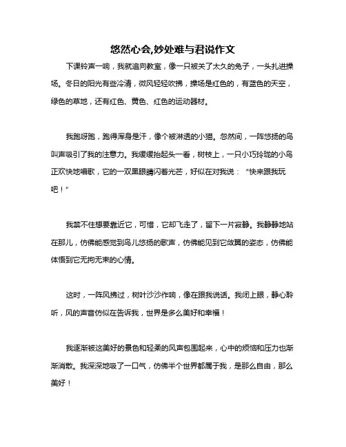 悠然心会,妙处难与君说作文