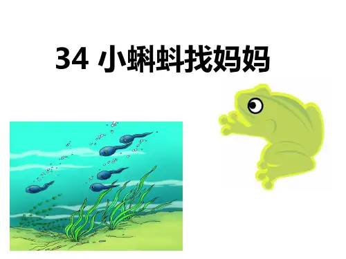 34小蝌蚪找妈妈课件ppt课件