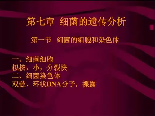 第七章  细菌的遗传分析