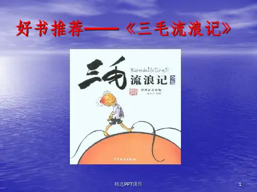好书推荐三毛流浪记ppt课件