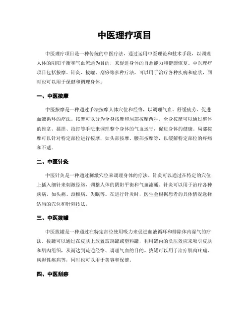 中医理疗项目