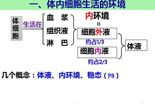 一轮复习——内环境稳态公开课PPT课件