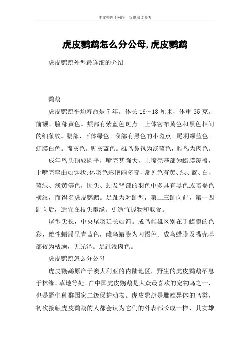 虎皮鹦鹉怎么分公母,虎皮鹦鹉