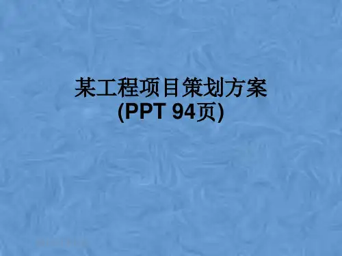 某工程项目策划方案(PPT 94页)