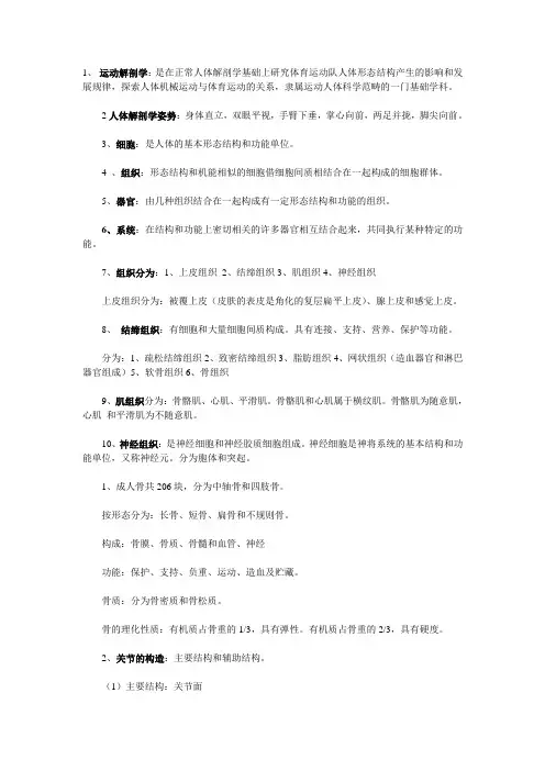 运动解剖学