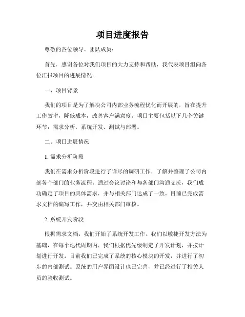 项目进度报告