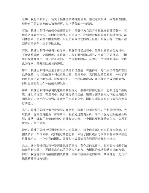 狼性团队精神培训感想