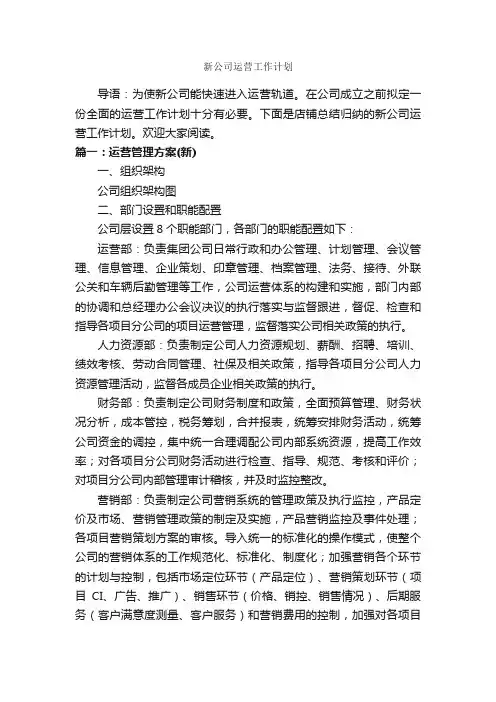 新公司运营工作计划