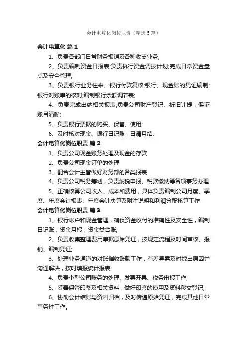 会计电算化岗位职责（精选5篇）