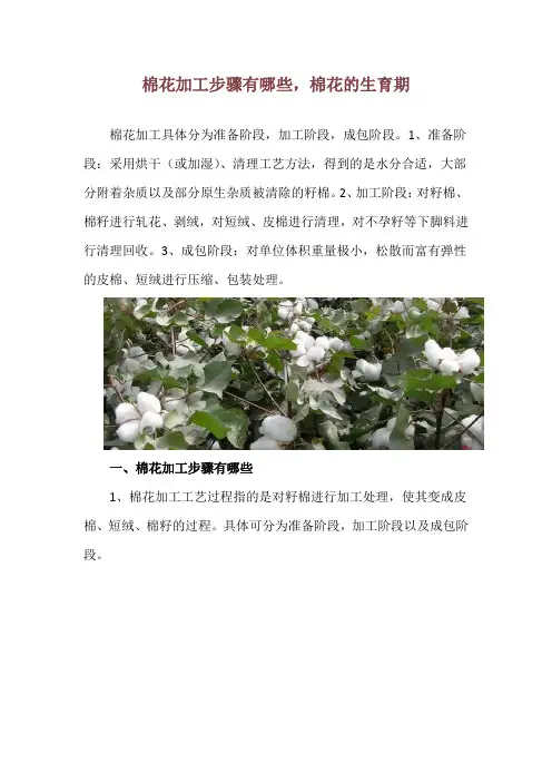 棉花加工步骤有哪些,棉花的生育期