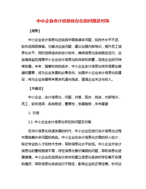 中小企业会计信息化存在的问题及对策