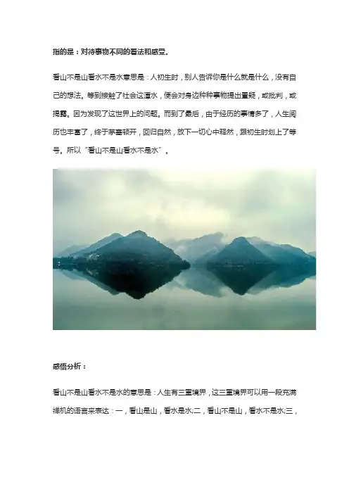 看山不是山看水不是水是什么意思