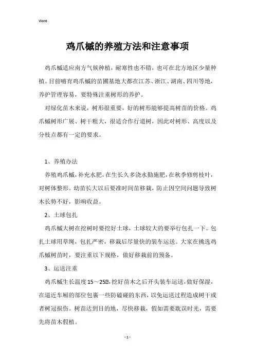 鸡爪槭的养殖方法和注意事项