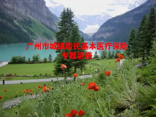 广州市城镇居民基本医疗保险专题讲座PPT课件