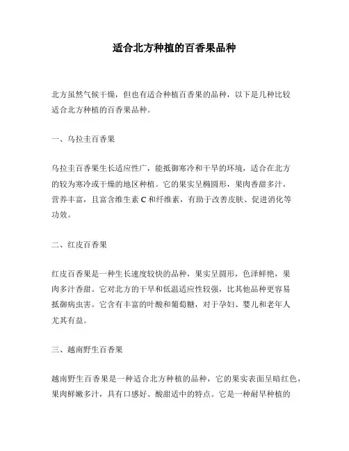 适合北方种植的百香果品种