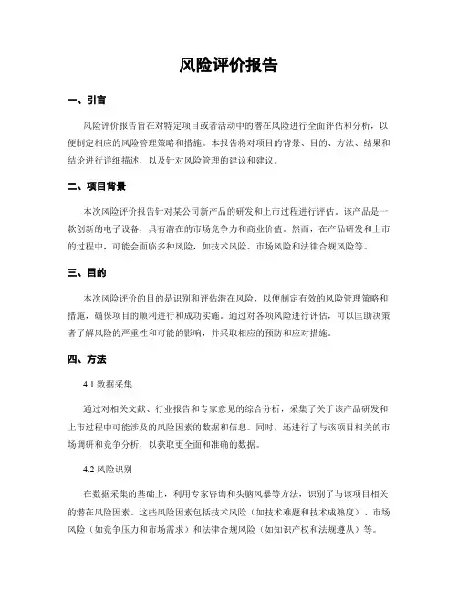 风险评价报告